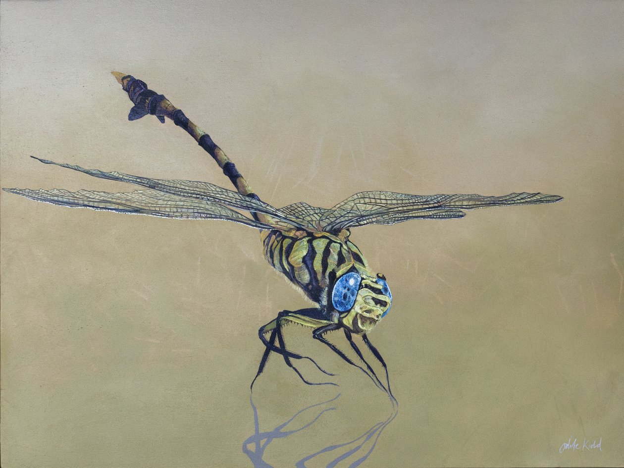 Libelle, 2009 von Odile Kidd