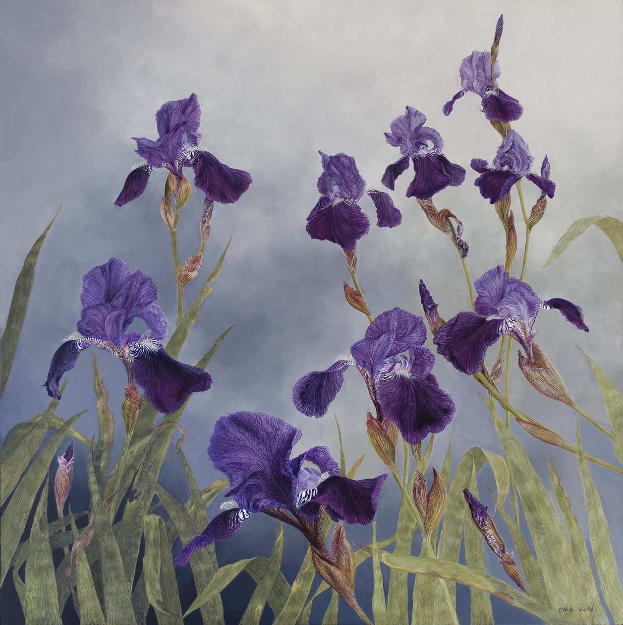 Iris hybrida, 2015 von Odile Kidd
