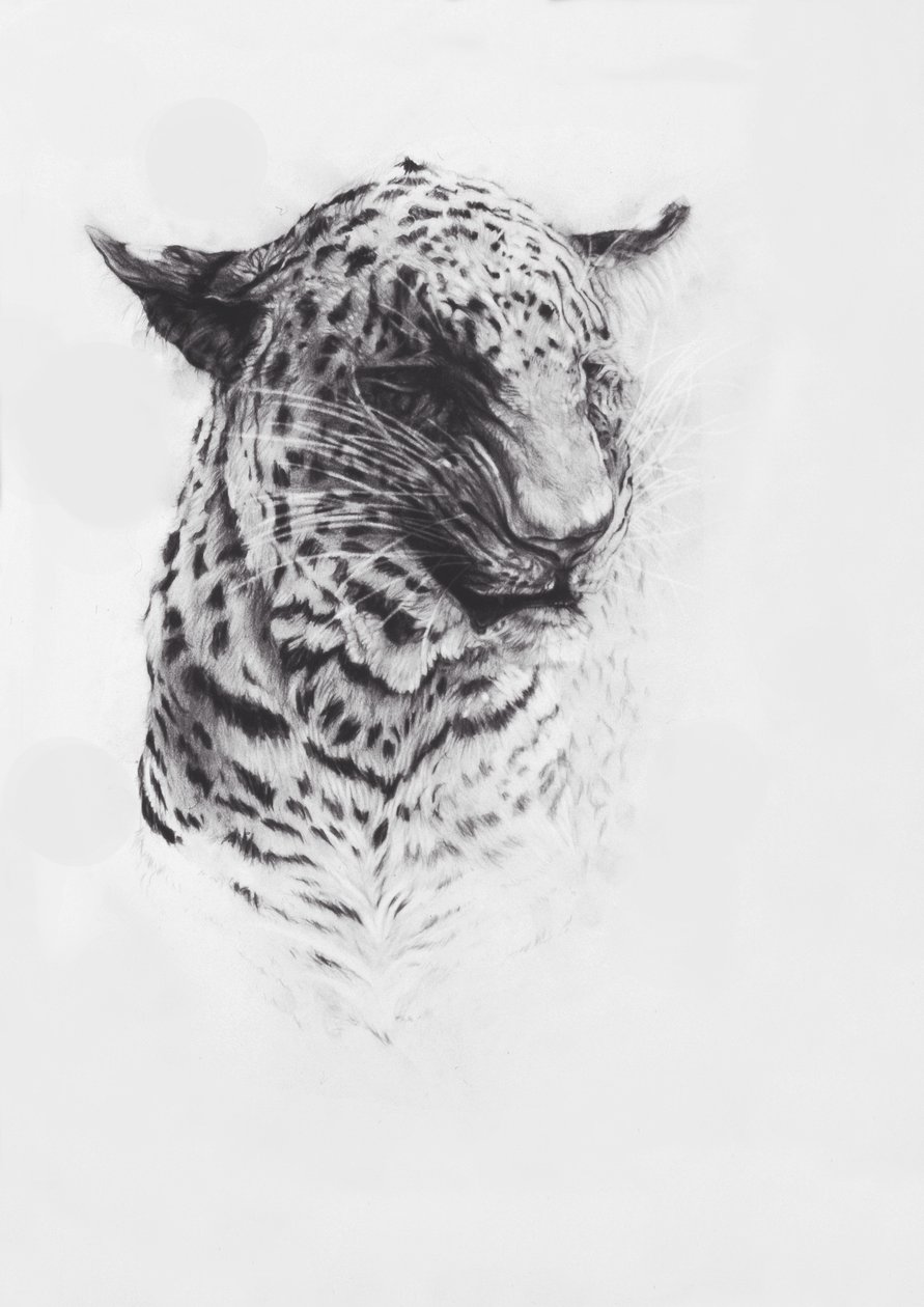 Leopard 2, 2004 von Odile Kidd