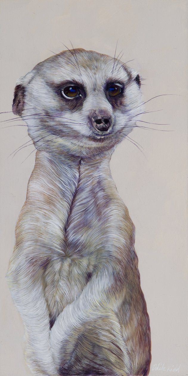 Erdmännchen 1, 2009 von Odile Kidd
