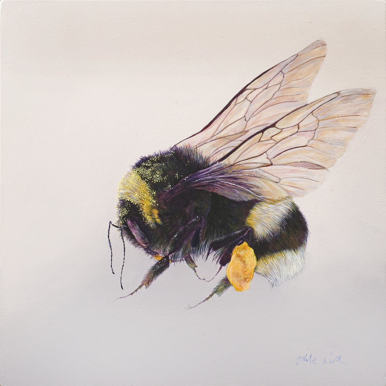 Pollensack 2, 2011 von Odile Kidd