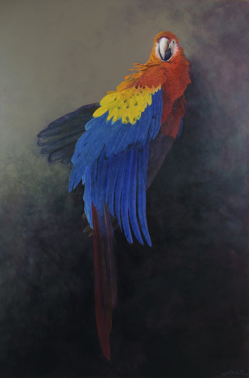 Roter Ara 3, 2014 von Odile Kidd