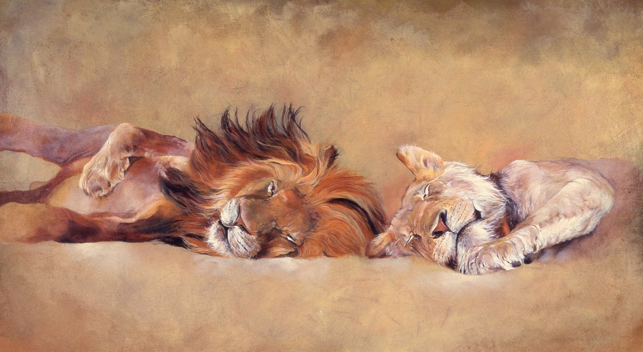 Siesta von Odile Kidd