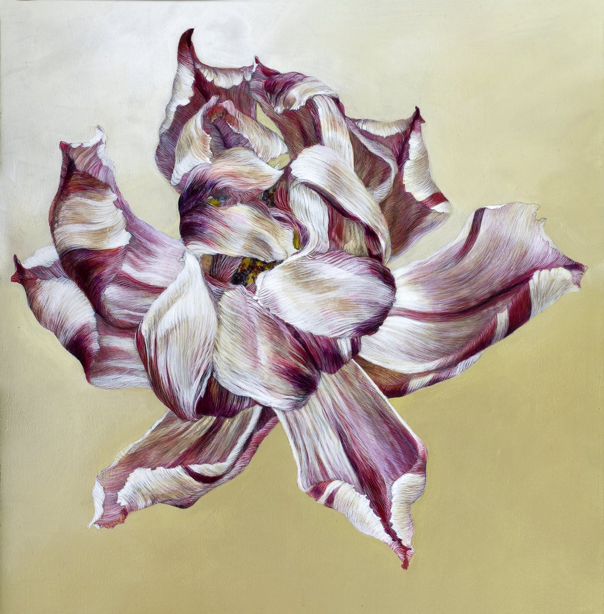 Tulipa von Odile Kidd