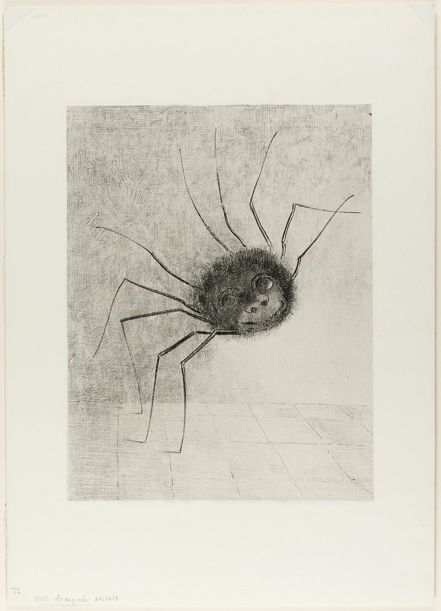 Spinne von Odilon Redon