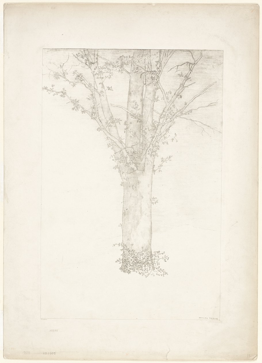 Baum von Odilon Redon