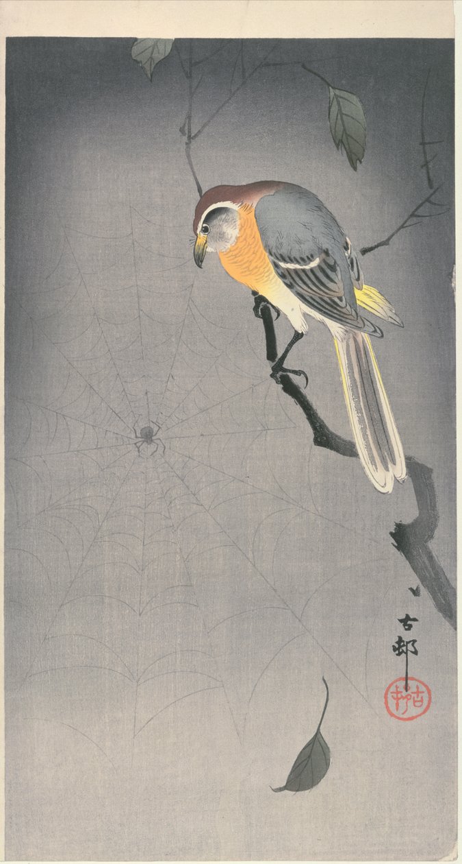Vogel auf einem Ast, der eine Spinne beobachtet von Ohara Koson