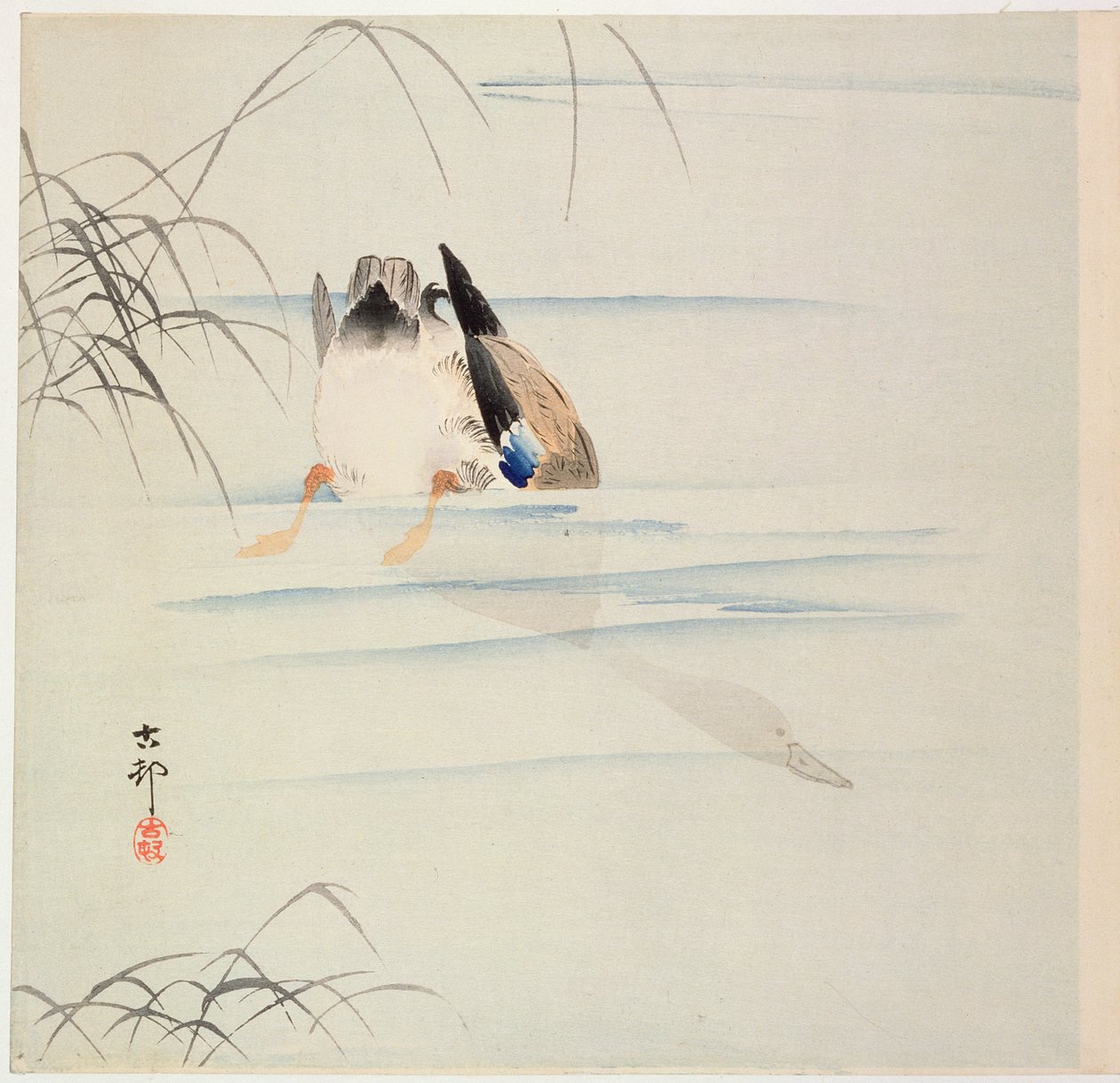 Tauchende Ente, ca. Anfang 1900er von Ohara Koson