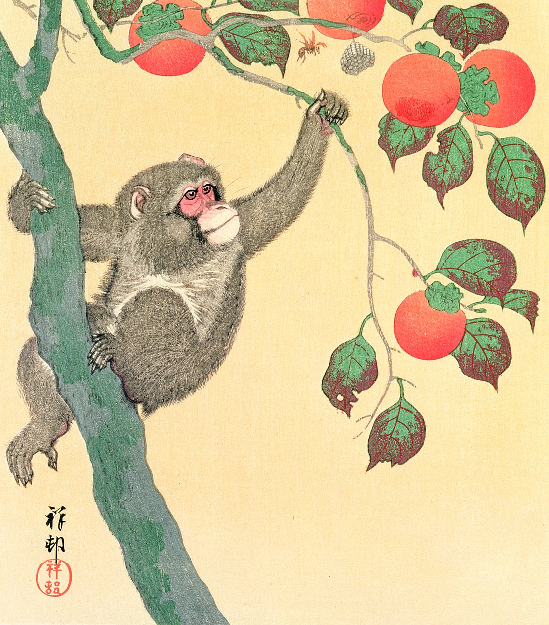 Affe in einem Persimmonbaum, 1935 von Ohara Koson