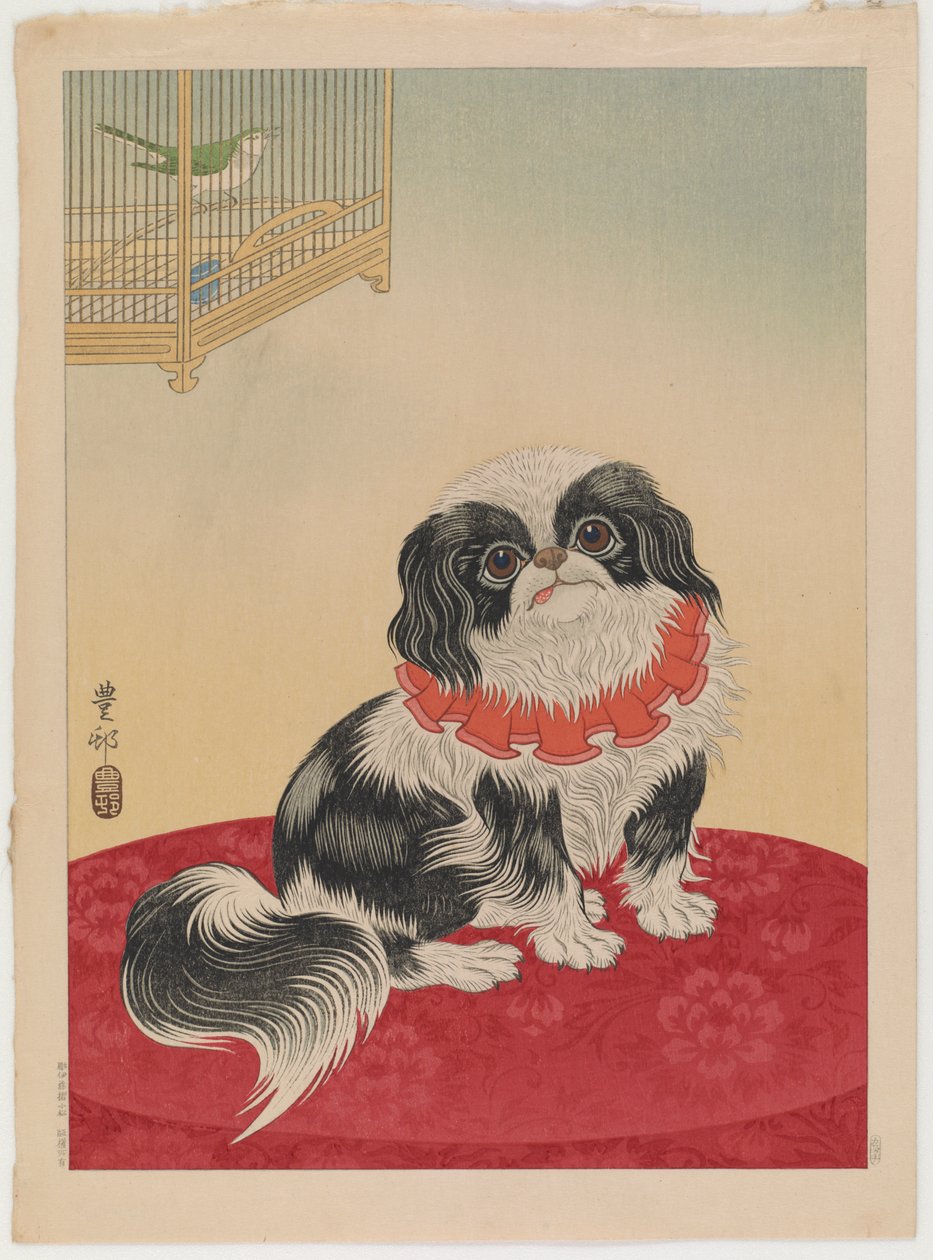 Pekinese Hund, ca. 1930 von Ohara Koson