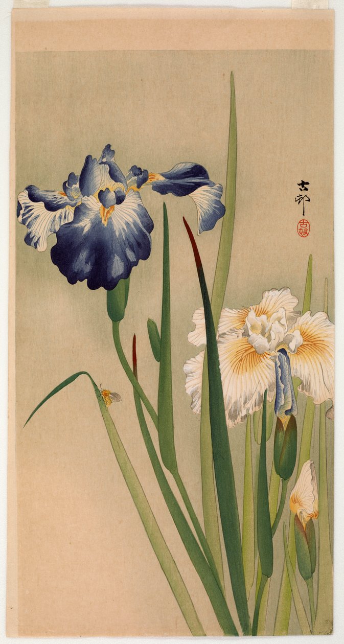 Kleines Insekt auf blühenden Schwertlilien von Ohara Koson