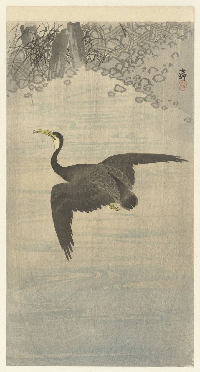 Kormoran im Flug von Ohara Koson