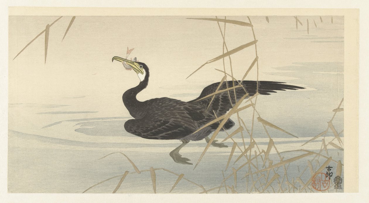 Kormoran mit Fisch von Ohara Koson