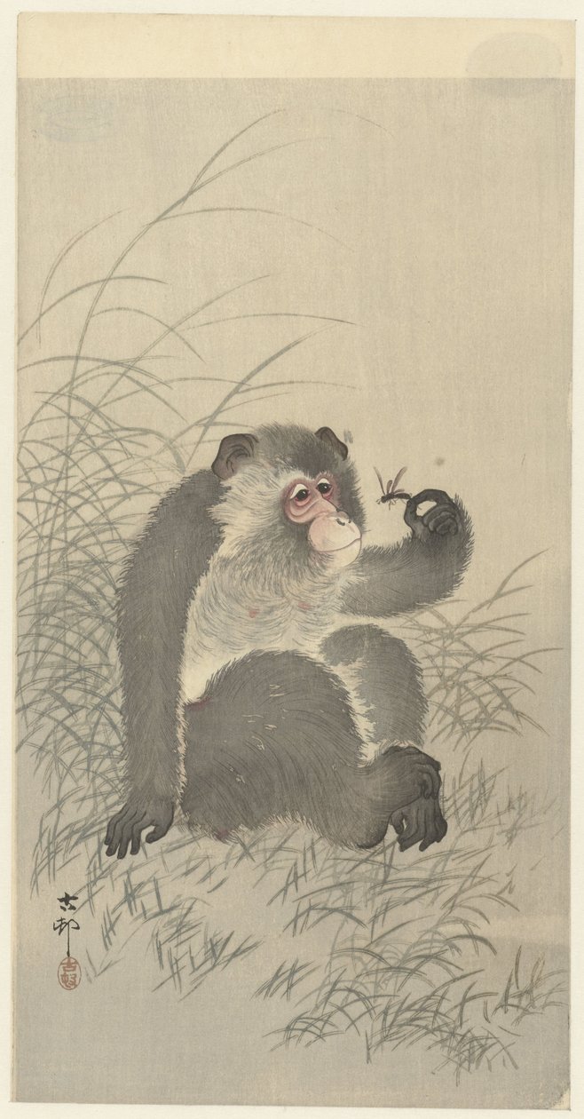 Affe mit Insekt von Ohara Koson