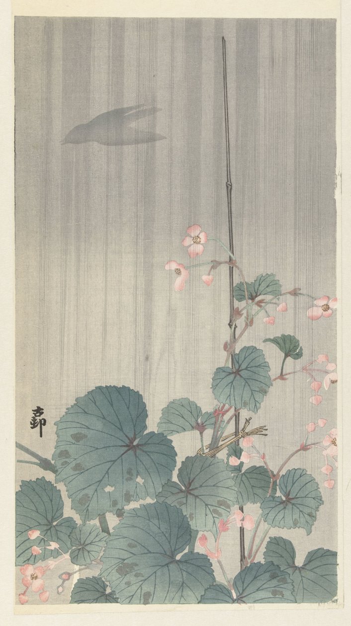 Begonie im Regen von Ohara Koson