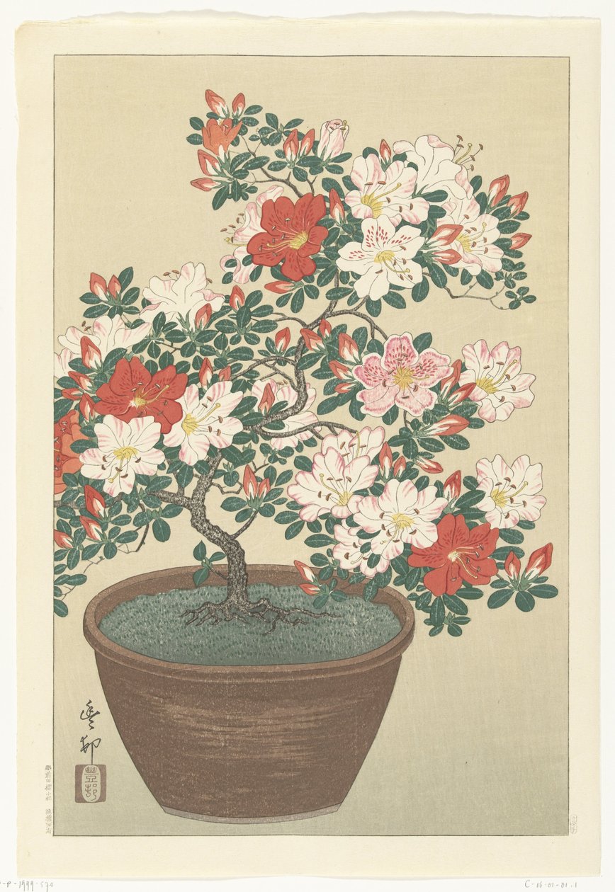 Blühende Azalee in braunem Topf von Ohara Koson