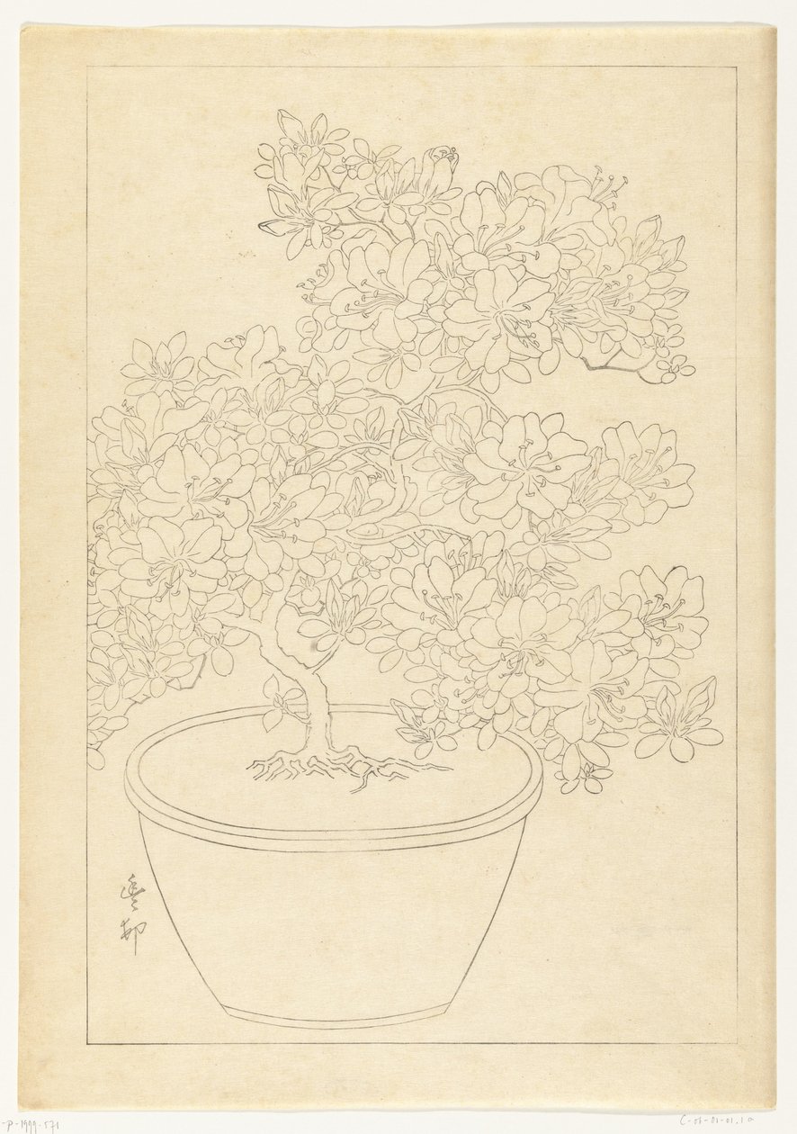 Blühende Azalee im Topf von Ohara Koson