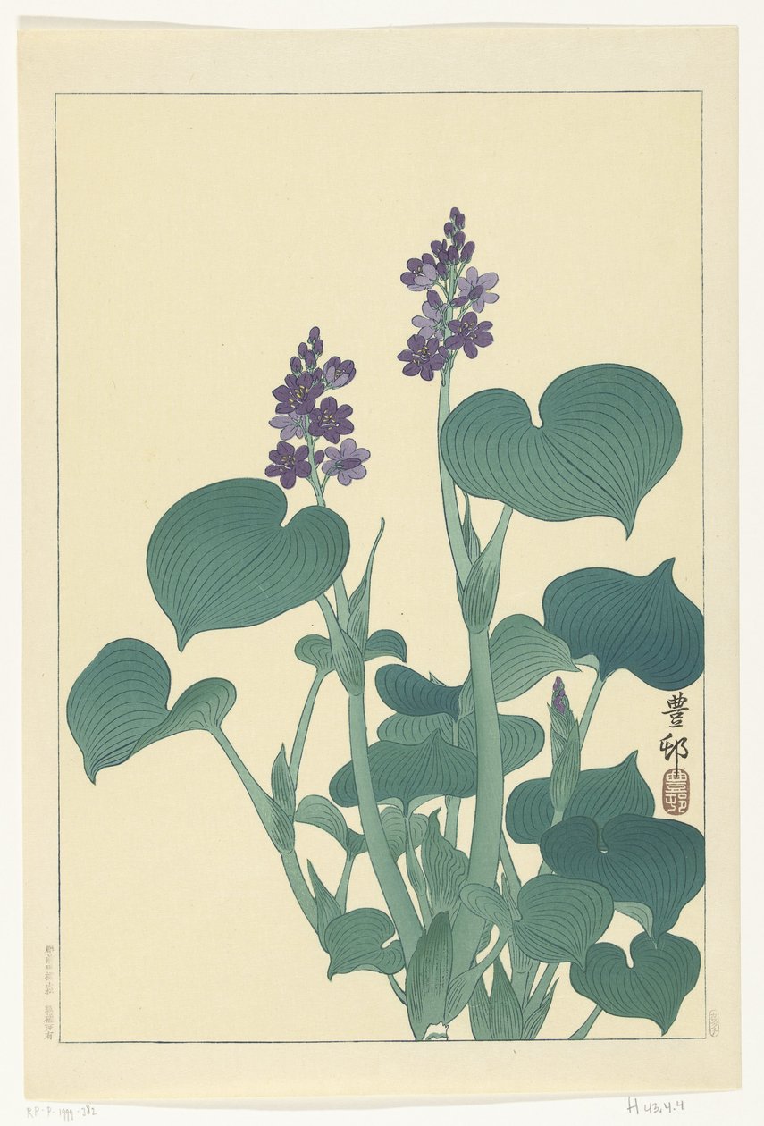 Blühende Hosta von Ohara Koson
