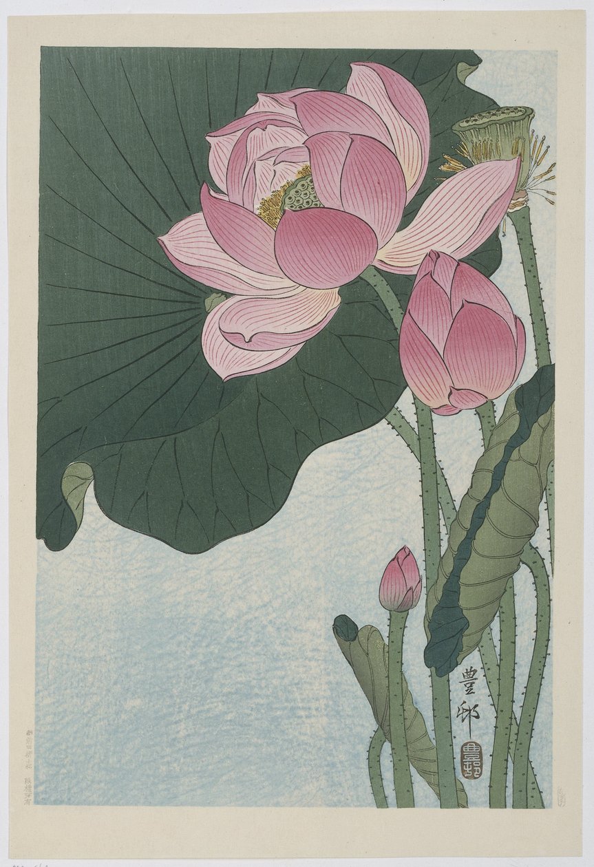 Blühende Lotusblumen von Ohara Koson