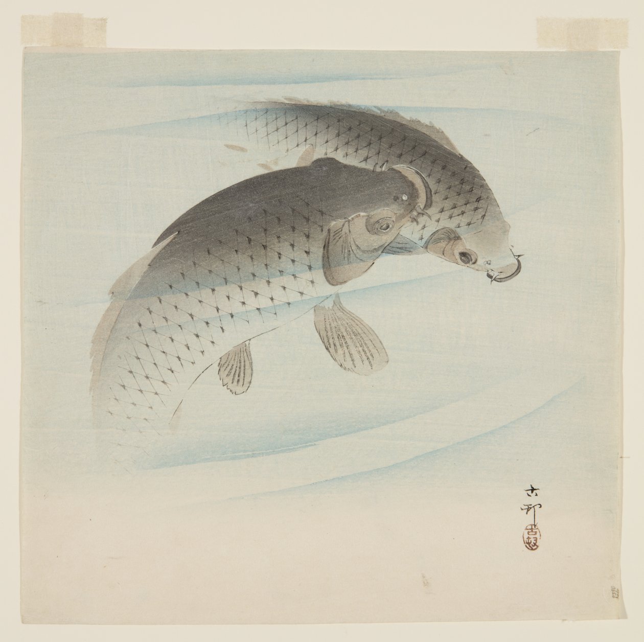 Karpfen von Ohara Koson