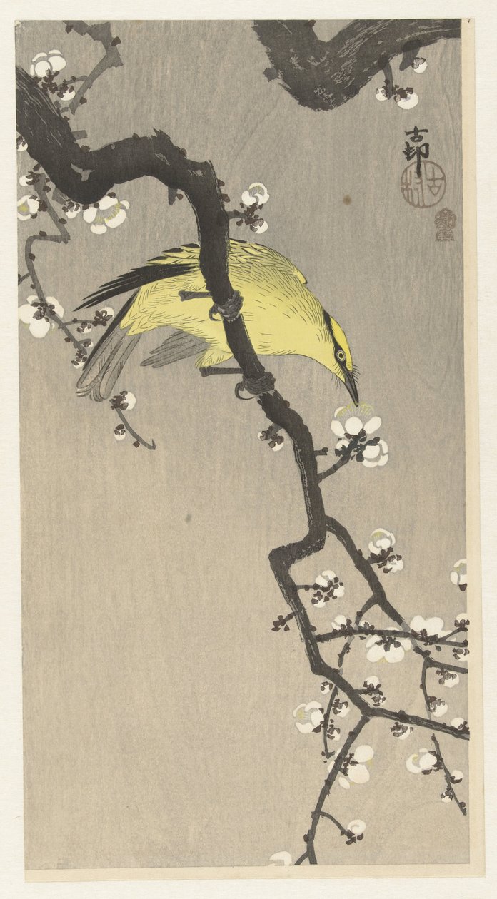 Chinesischer Pirol auf einem Pflaumenblütenzweig von Ohara Koson