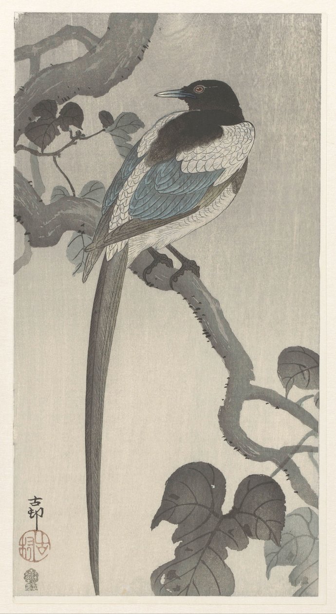 Elster auf Baumzweig von Ohara Koson