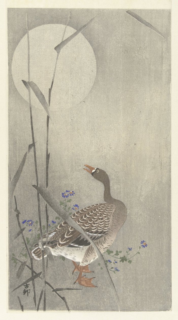Gans bei Vollmond von Ohara Koson