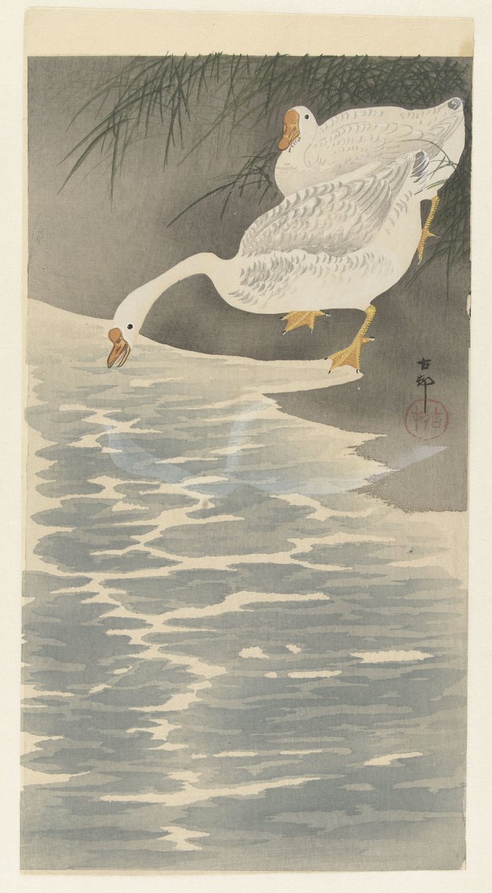 Gänse am Ufer von Ohara Koson