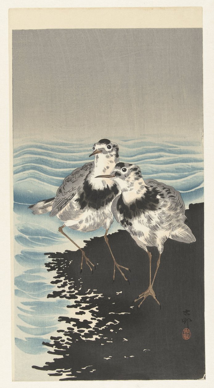 Große Knutts von Ohara Koson
