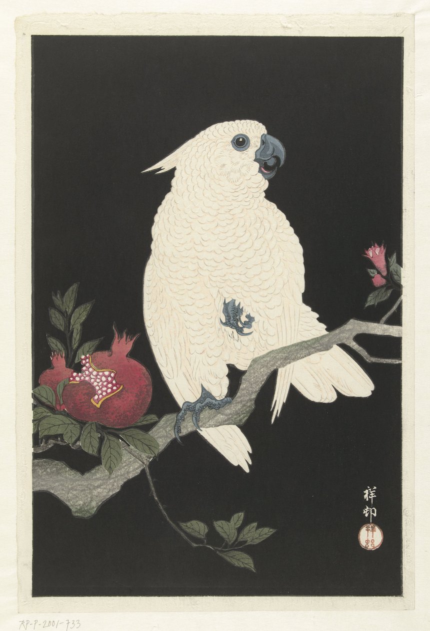 Kakadu und Granatapfel von Ohara Koson