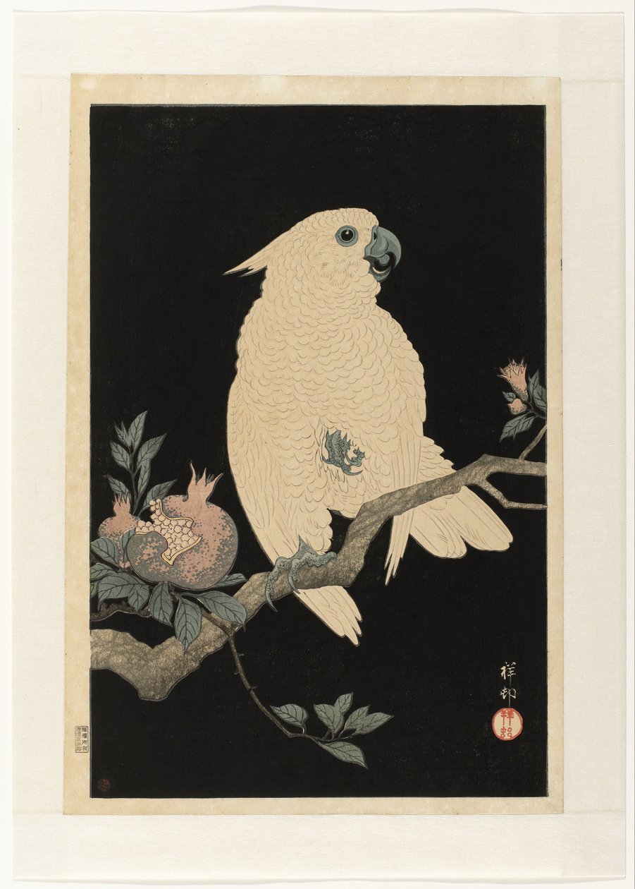 Kakadu mit Granatapfel von Ohara Koson