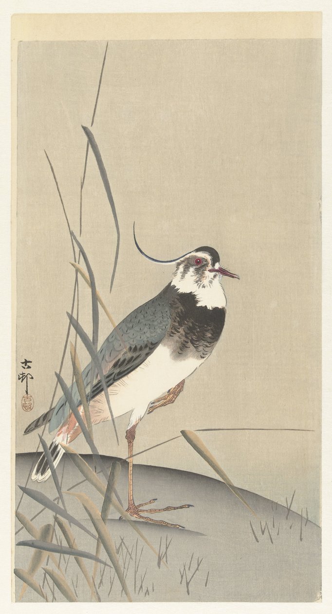 Kiebitz und Schilf von Ohara Koson
