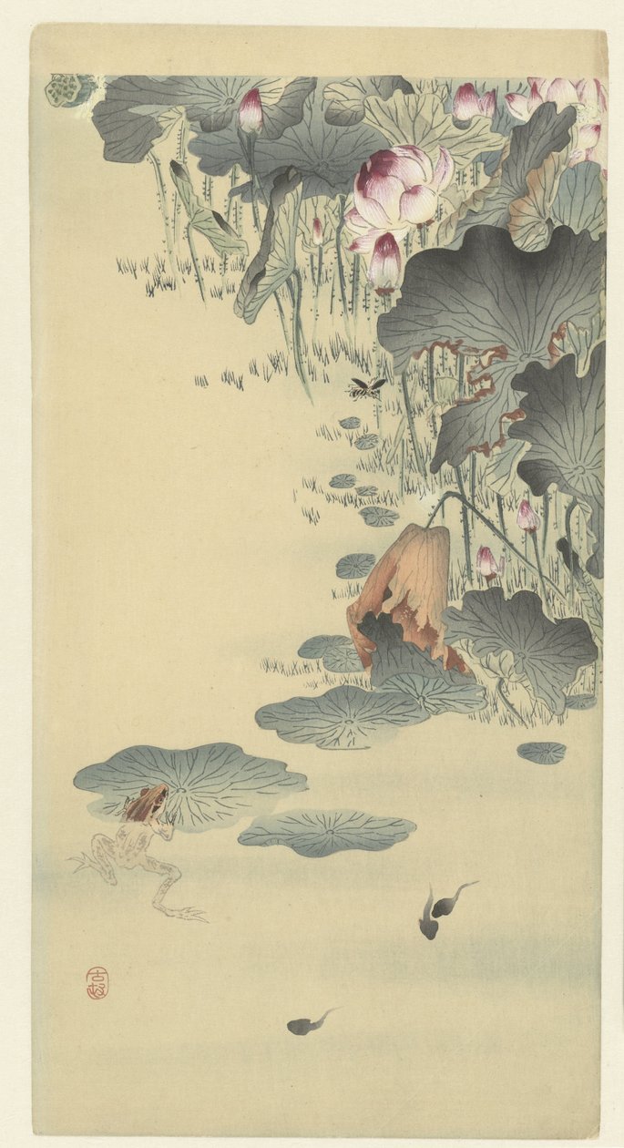 Frosch und Kaulquappen von Ohara Koson