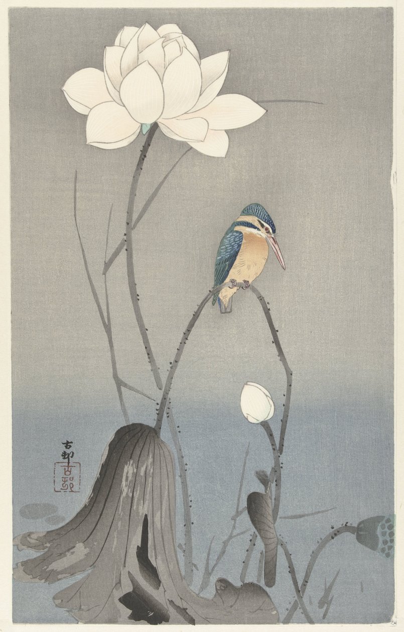 Eisvogel mit Lotusblume von Ohara Koson