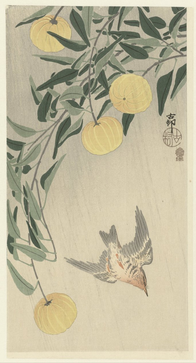 Kuckuck im Regen von Ohara Koson