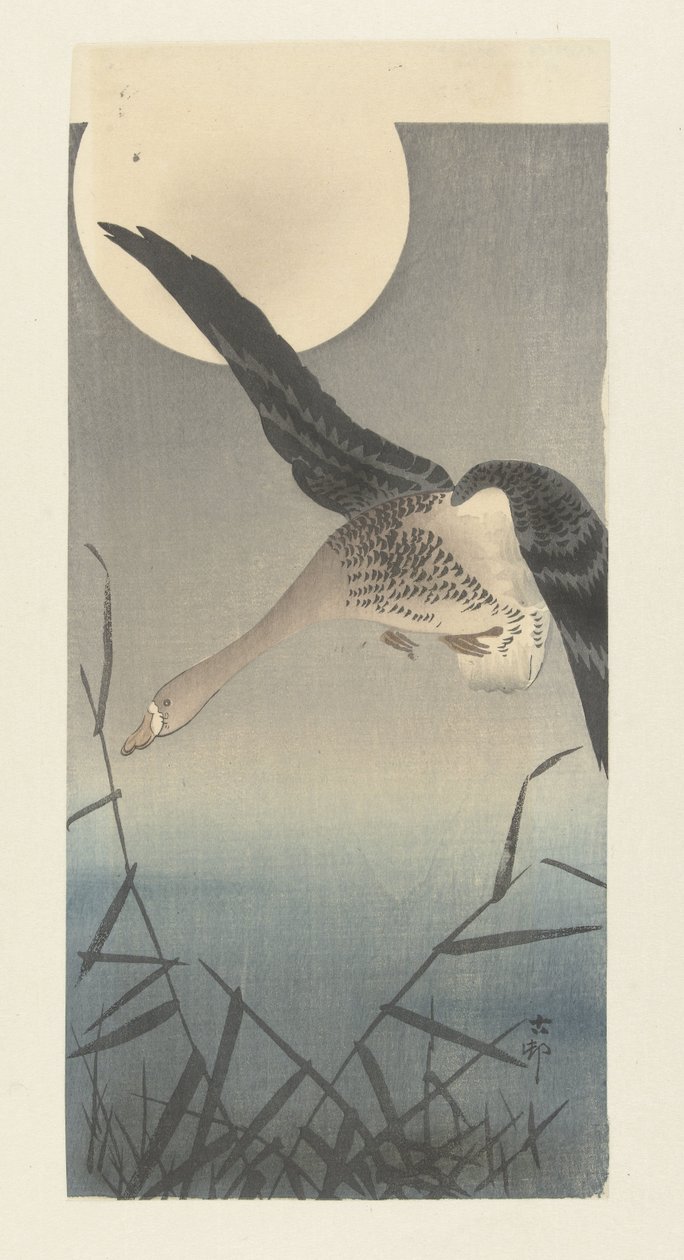 Kolgans bei Vollmond von Ohara Koson