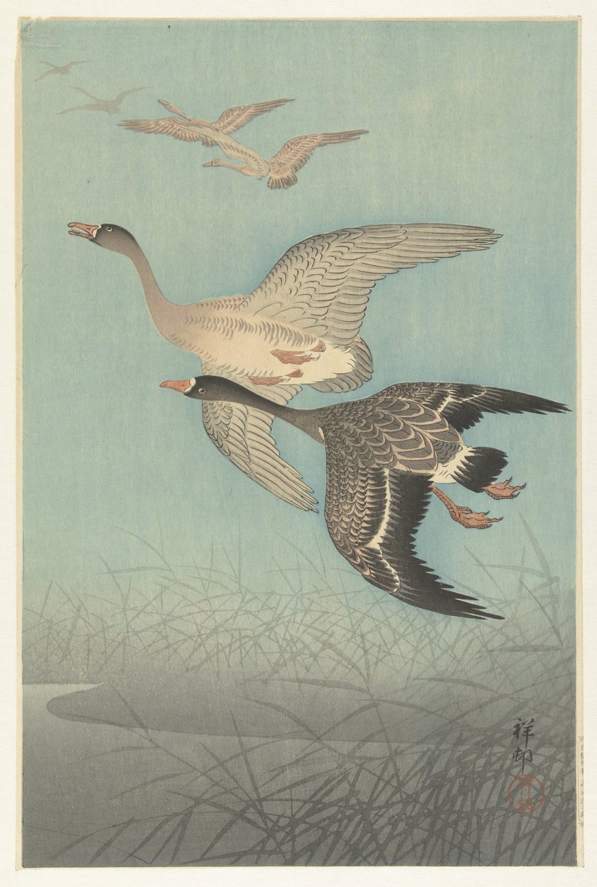 Nonnengänse im Flug von Ohara Koson