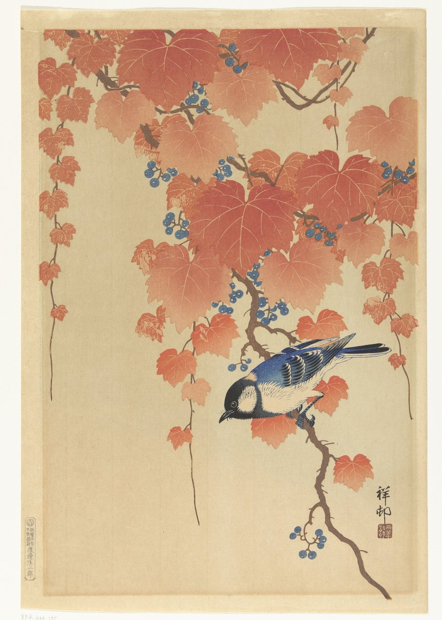 Kohlmeise auf Paulownia-Zweig von Ohara Koson