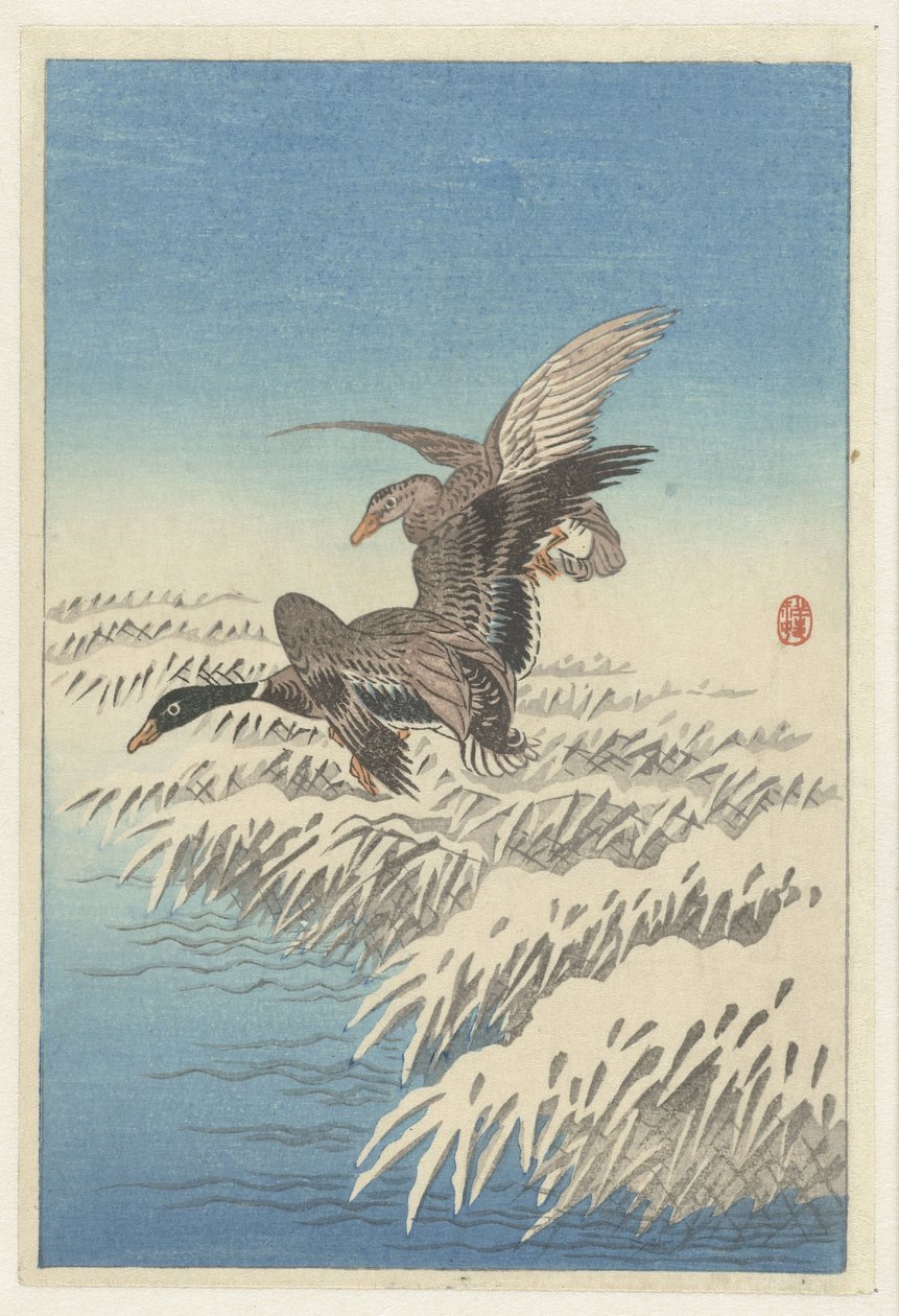 Paar Enten fliegend über verschneite Schilfkante von Ohara Koson