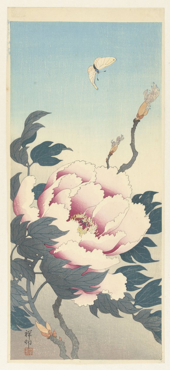 Pfingstrose und ein Schmetterling von Ohara Koson