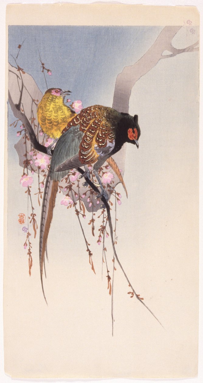 Fasane und Hängekirsche von Ohara Koson