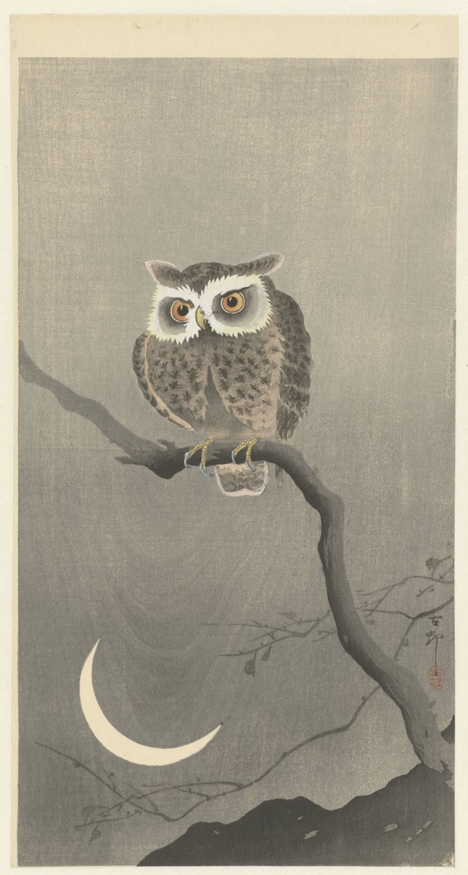 Waldohreule auf kahlem Baumzweig von Ohara Koson