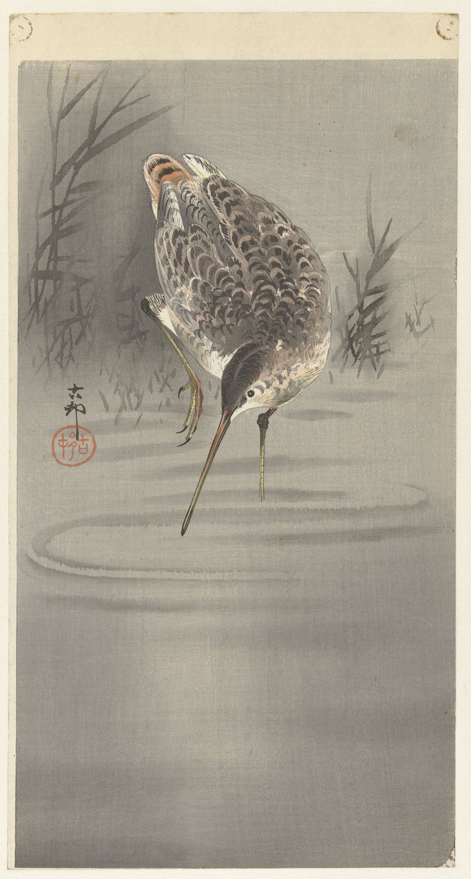 Schnepfe im Wasser von Ohara Koson