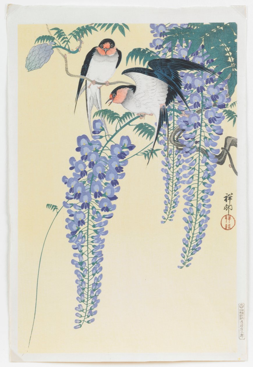 Schwalben und Glyzinien von Ohara Koson