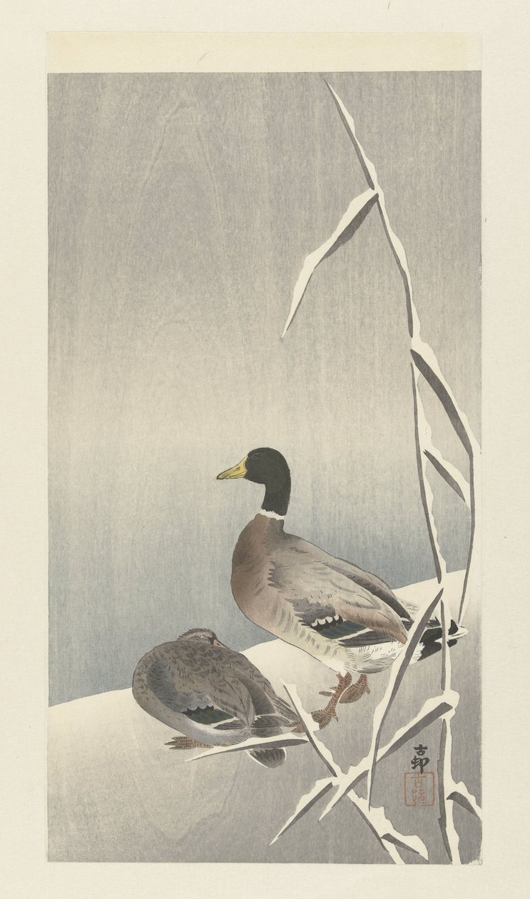 Zwei Enten auf verschneitem Schilf von Ohara Koson
