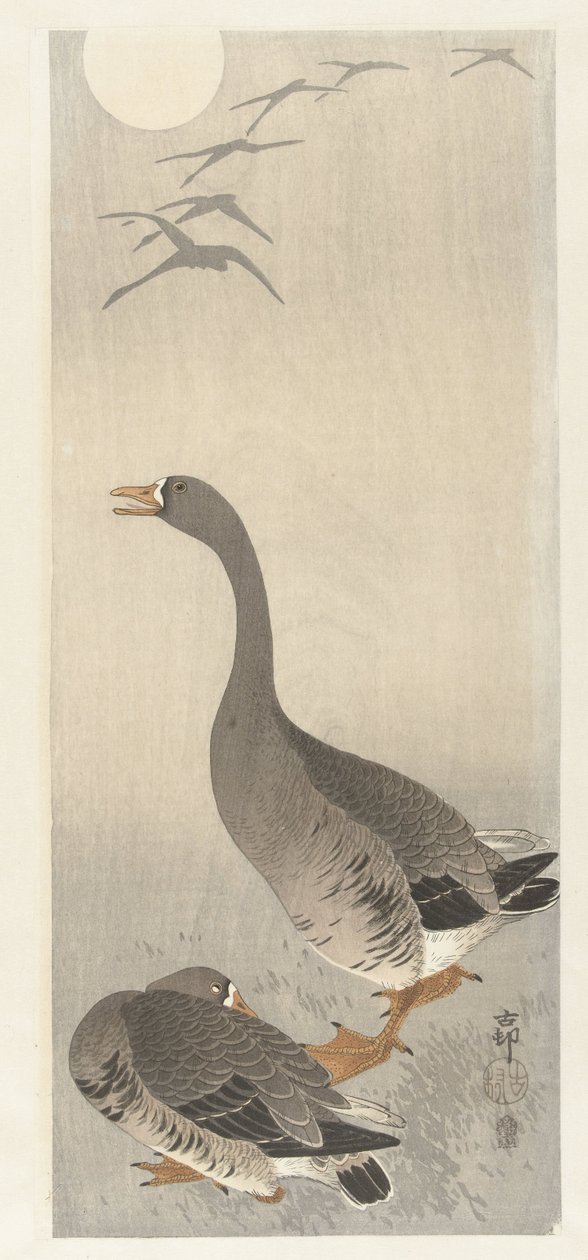 Zwei Gänse von Ohara Koson