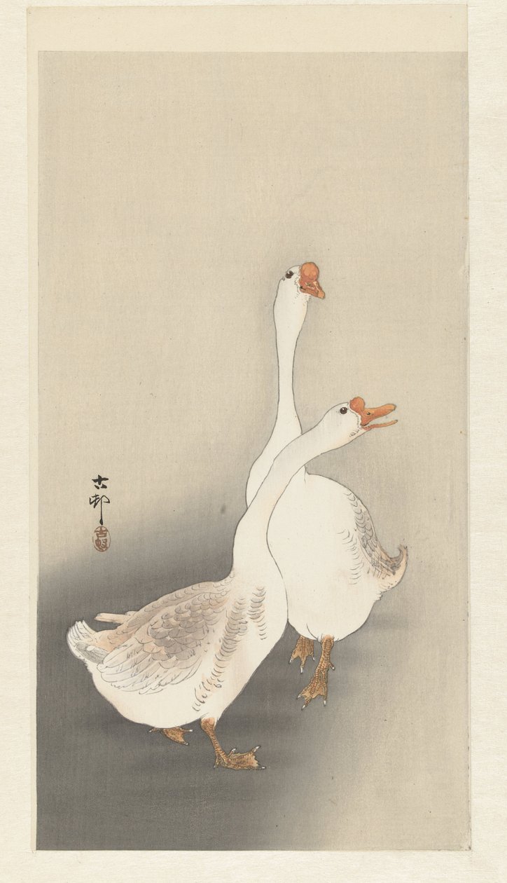 Zwei Gänse von Ohara Koson