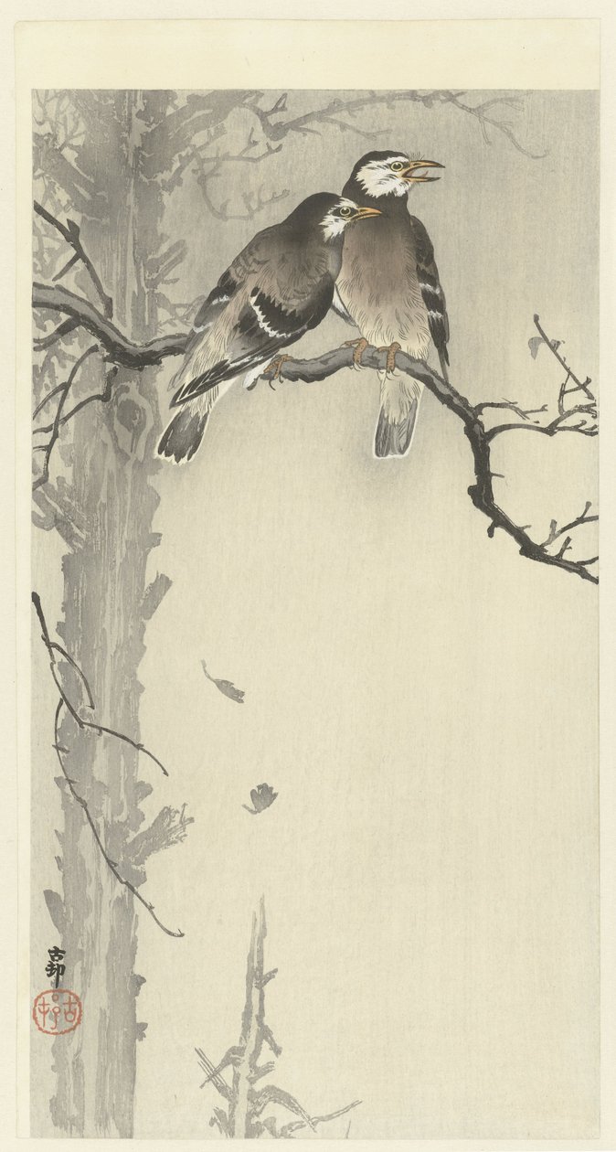 Zwei graue Stare von Ohara Koson