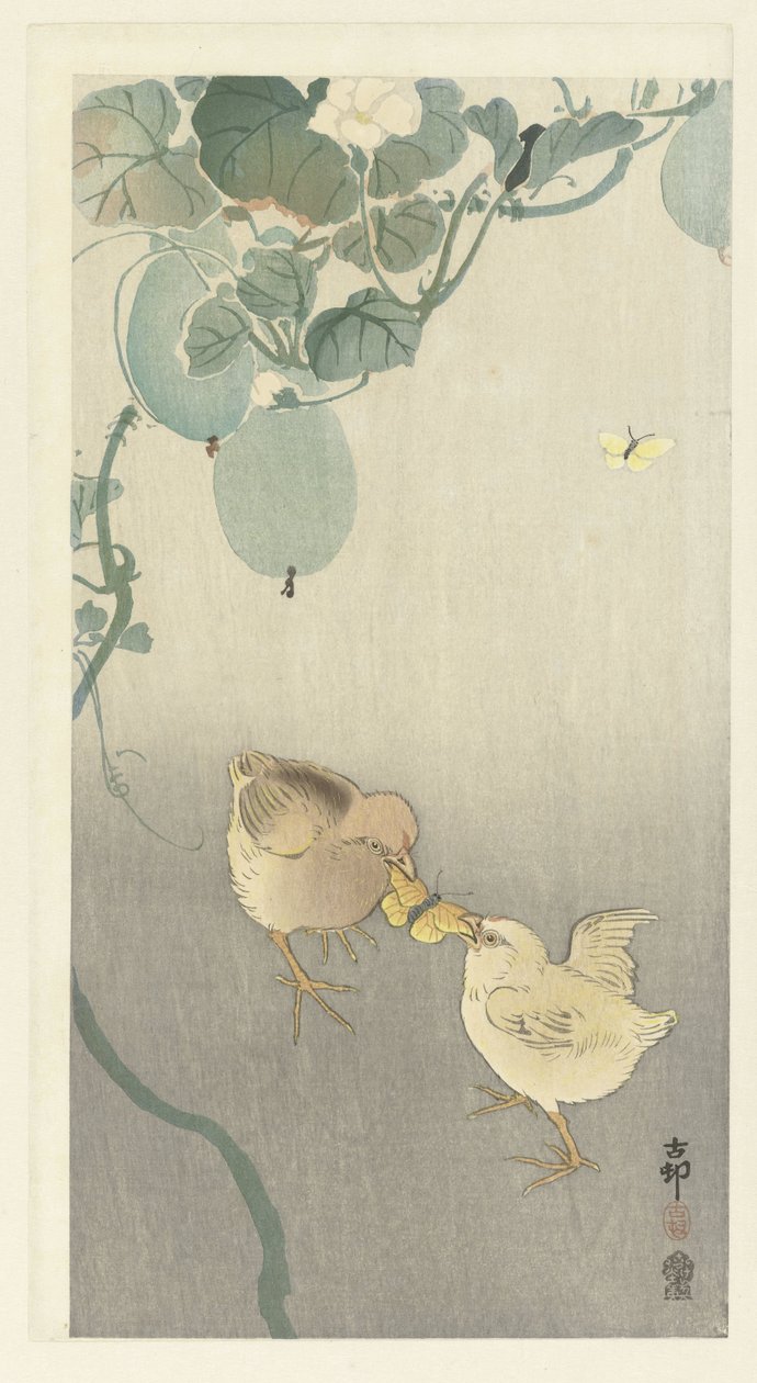 Zwei Küken kämpfen um einen Schmetterling von Ohara Koson