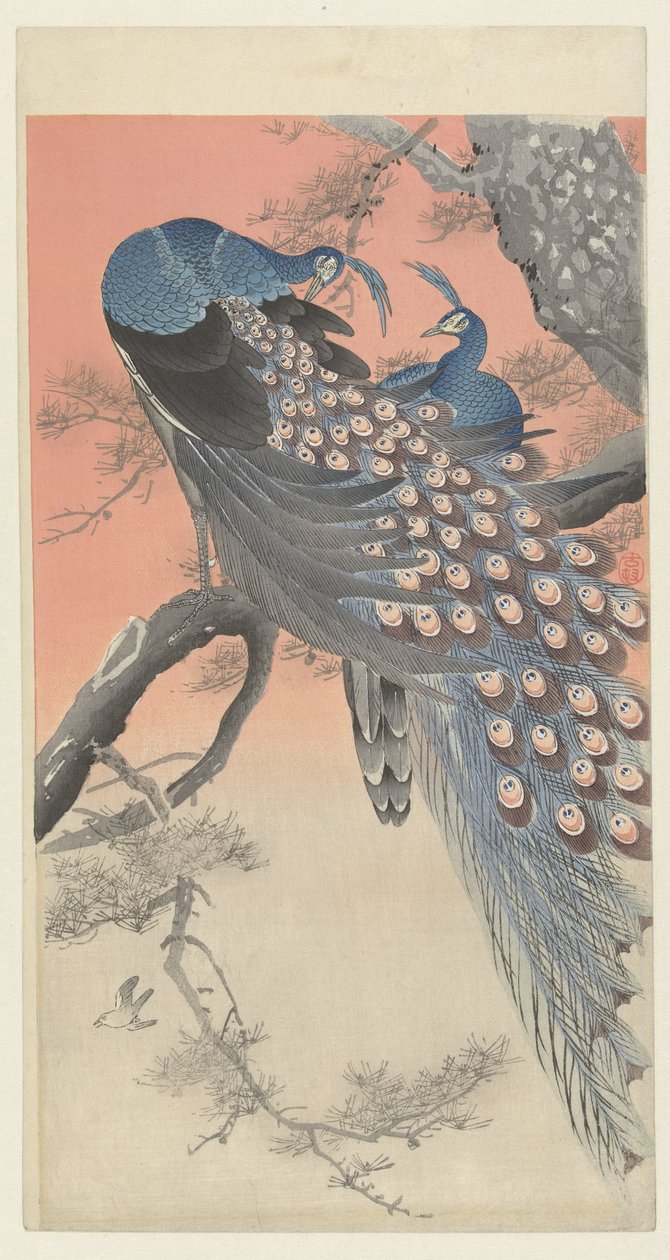 Zwei Pfauen auf einem Ast von Ohara Koson